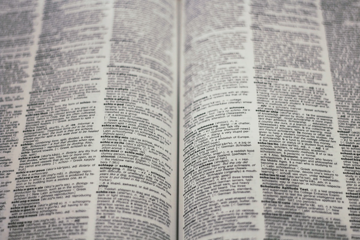 The Reason I started learning English