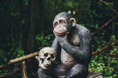 A chimpanzee statue is seated on a wooden platform in a contemplative pose, holding a human skull in one hand. The background is a lush green forest, with dense foliage adding depth to the scene.