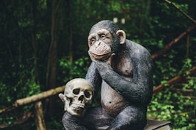 A chimpanzee statue is seated on a wooden platform in a contemplative pose, holding a human skull in one hand. The background is a lush green forest, with dense foliage adding depth to the scene.