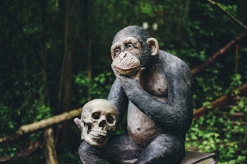 A chimpanzee statue is seated on a wooden platform in a contemplative pose, holding a human skull in one hand. The background is a lush green forest, with dense foliage adding depth to the scene.