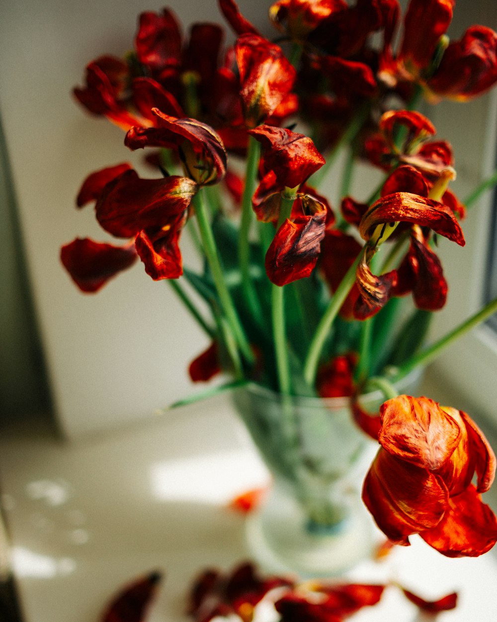 red flowers in clear glass vase