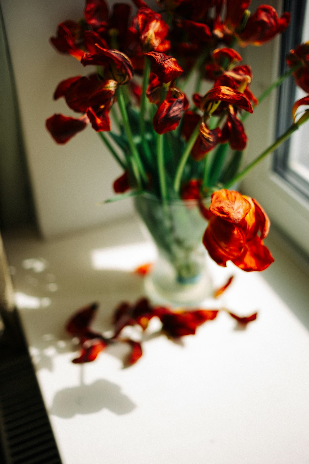 red roses in clear glass vase