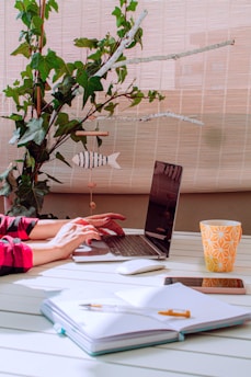 person in red shorts sitting on couch using macbook pro
