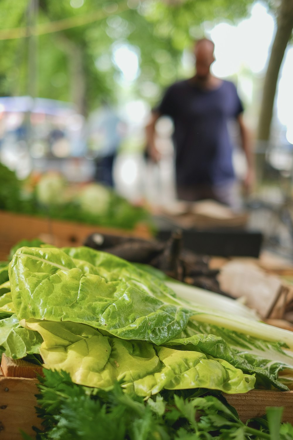 green vegetable on brown wooden table