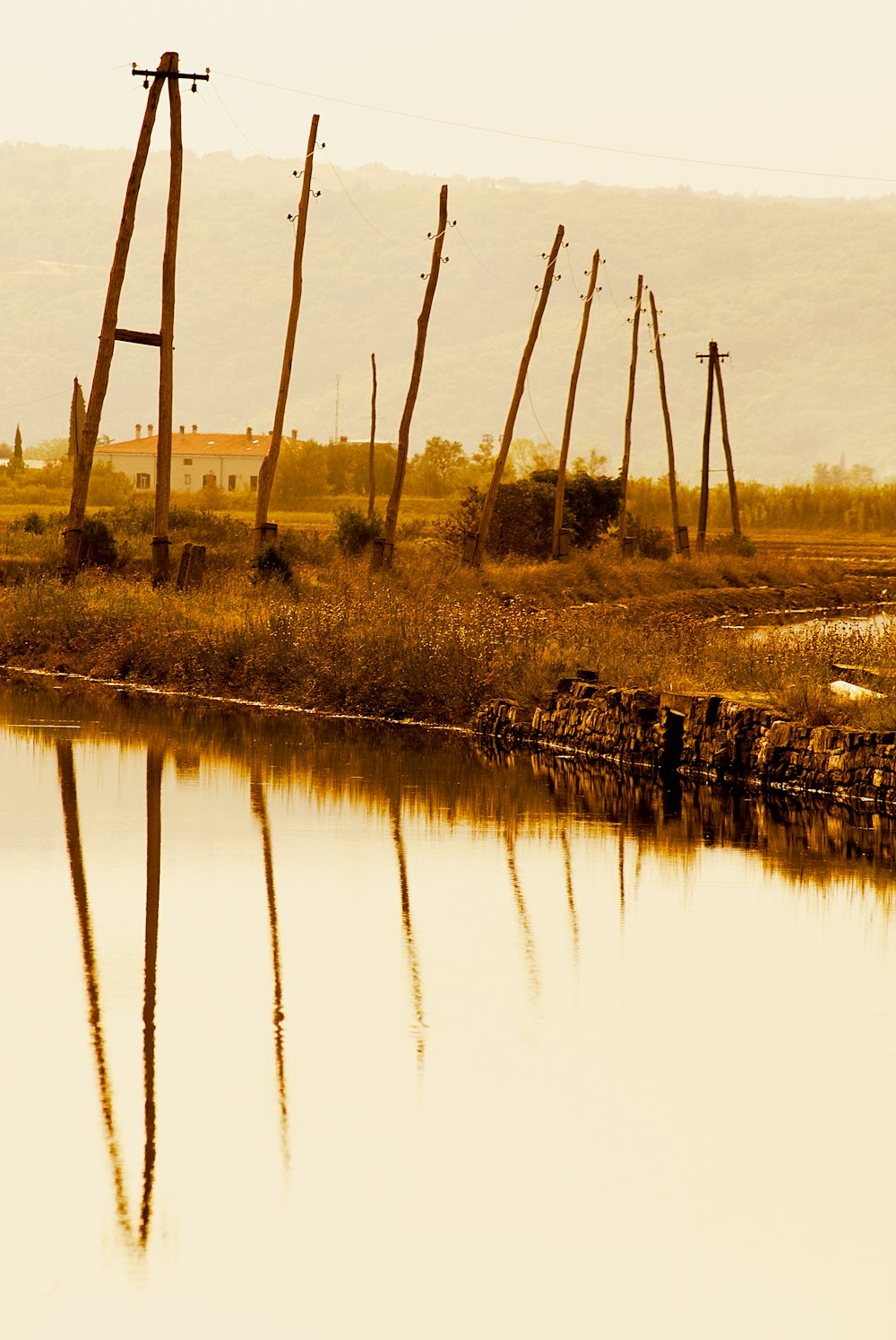 palo di legno marrone sul campo di erba verde vicino allo specchio d'acqua durante il giorno