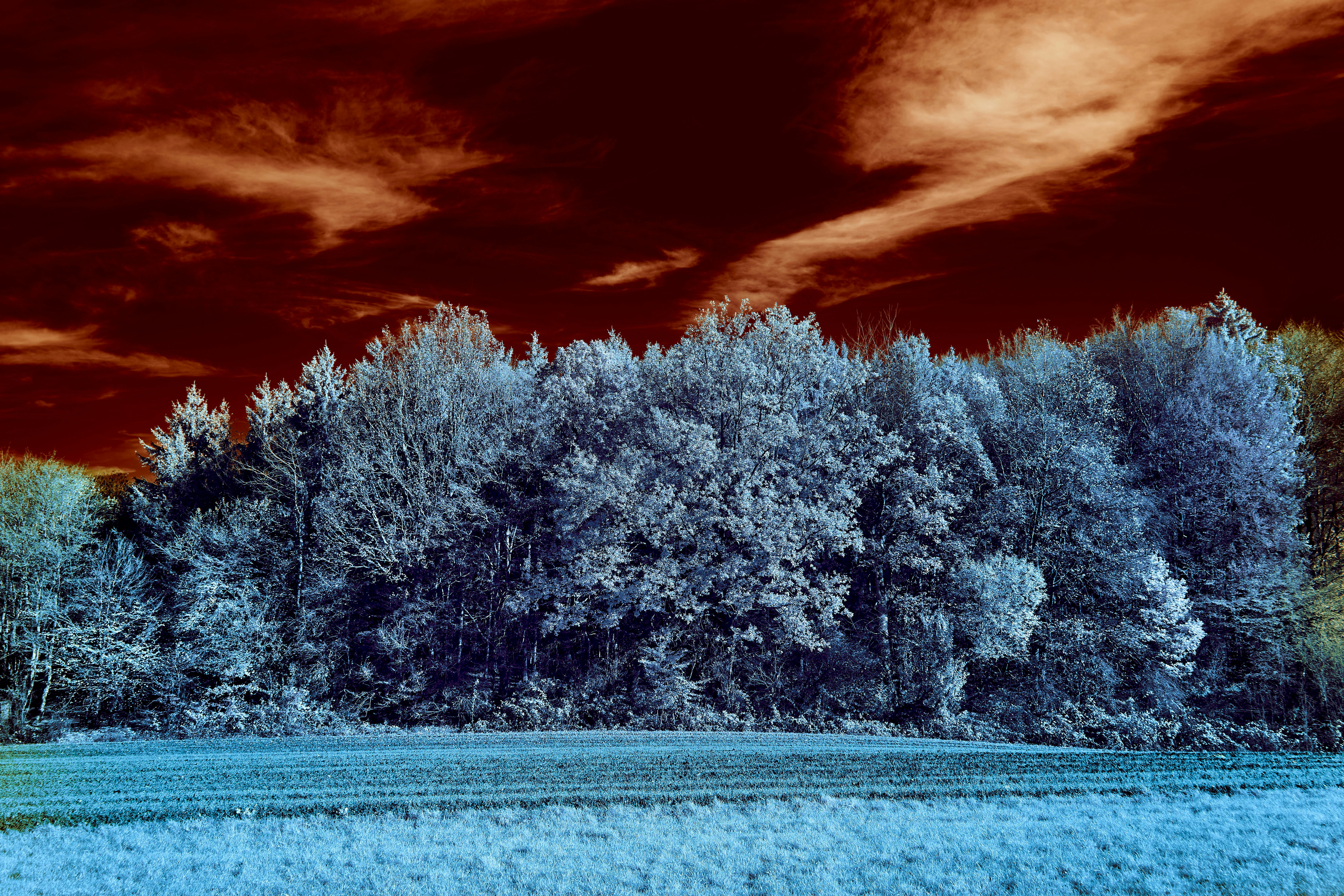 Photo by wolfgang_hasselmann