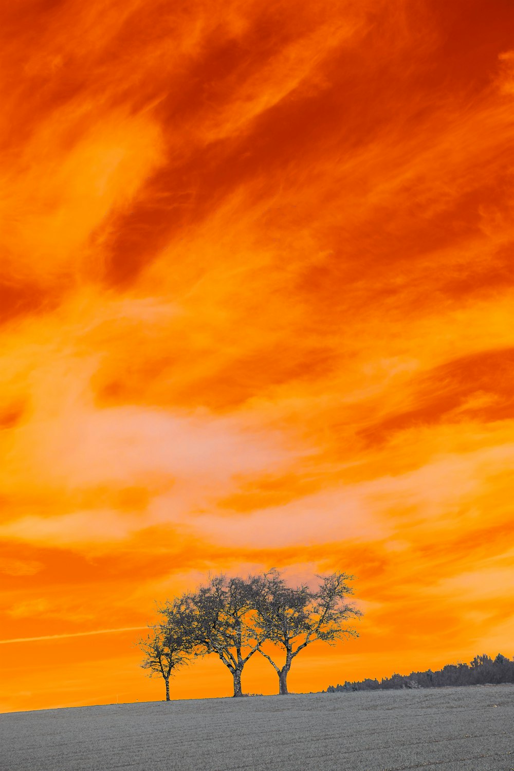 green tree under blue sky