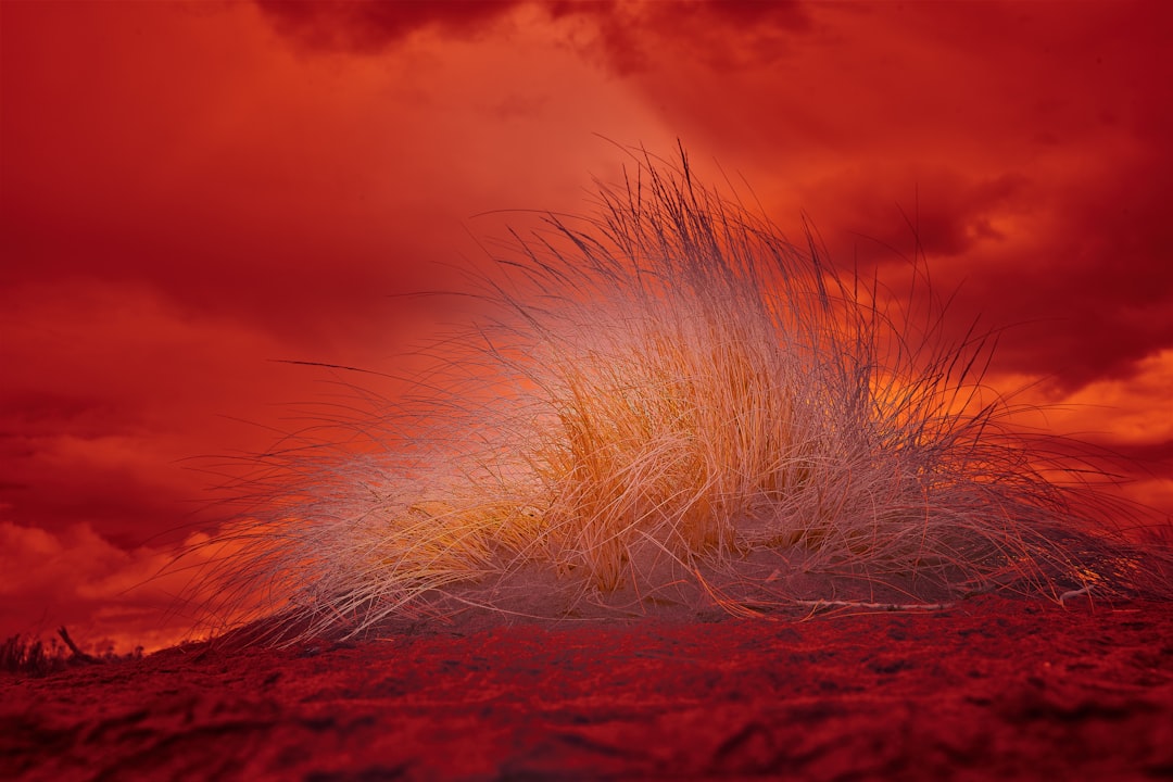 brown and red clouds during sunset