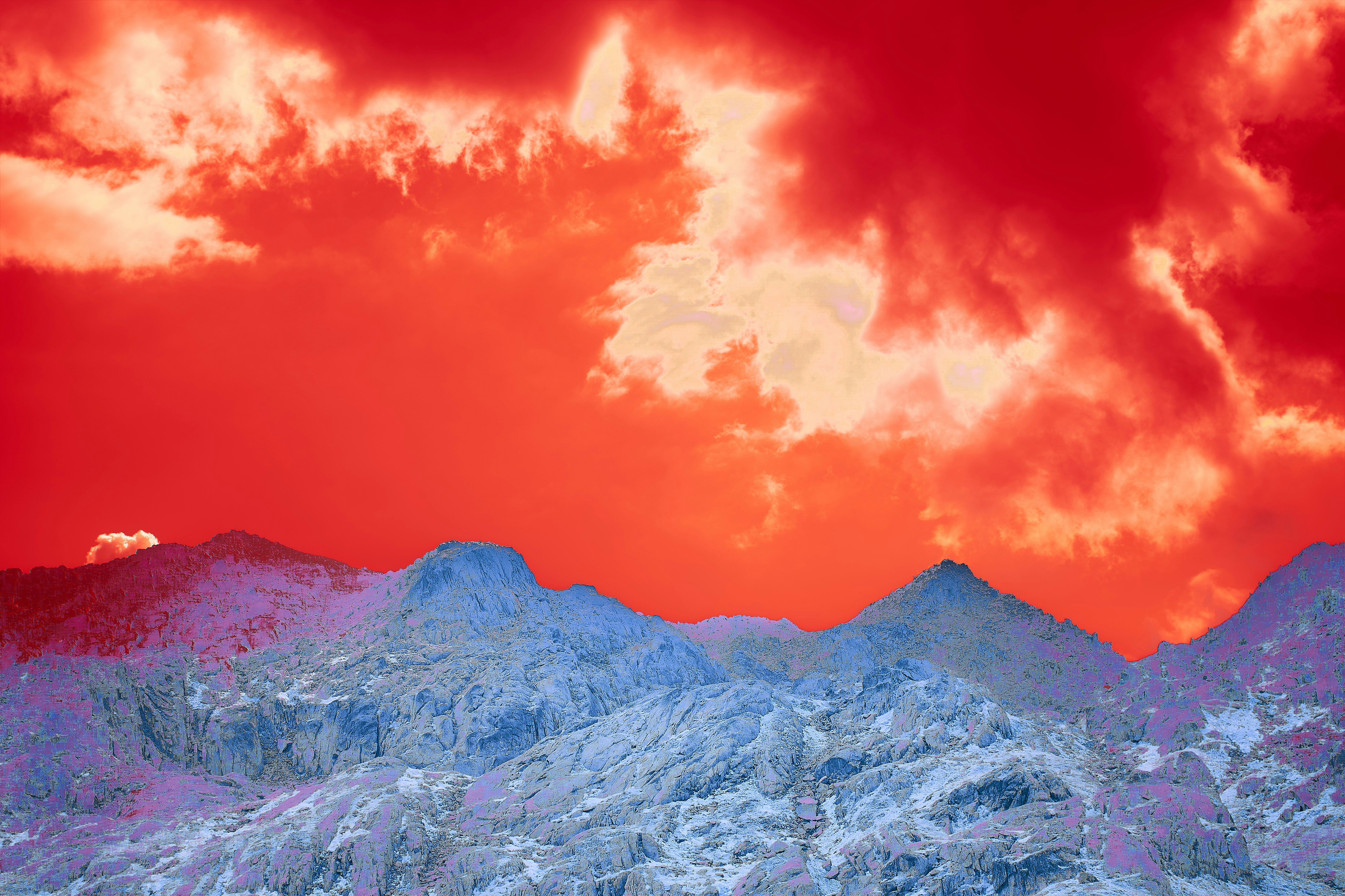 Photo by wolfgang_hasselmann