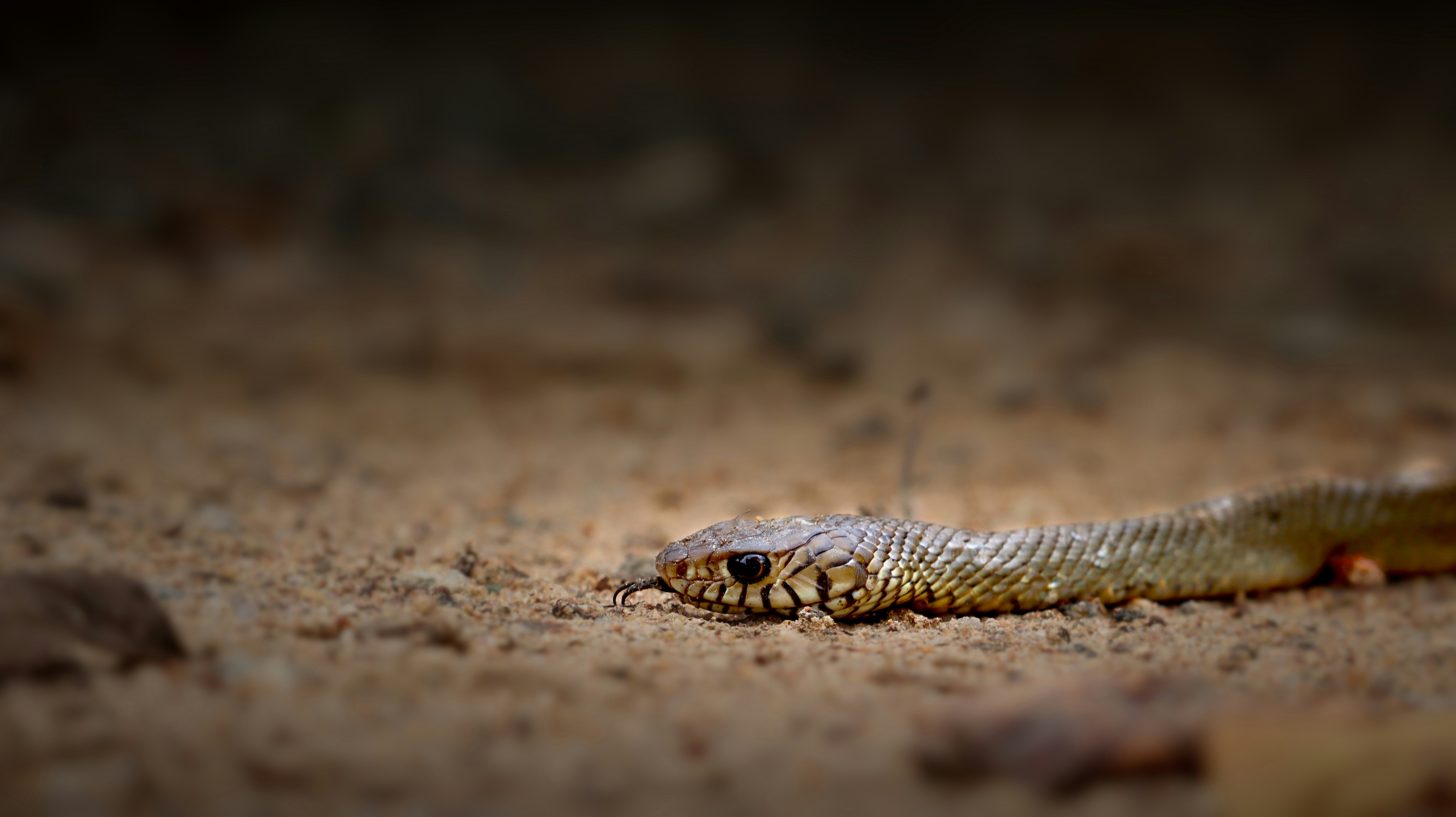 Photo by ajaylakshman2005