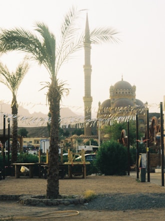 A serene view of the Rawdha in Madinah with pilgrims in the foreground.