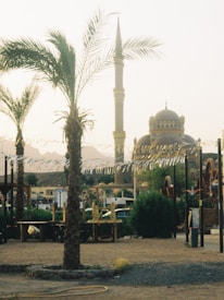 A picturesque outdoor scene featuring palm trees in the foreground and a large mosque with an ornate dome and tall minaret in the background. The landscape includes mountains and a few scattered buildings beneath a clear, bright sky. The area appears serene and culturally rich.