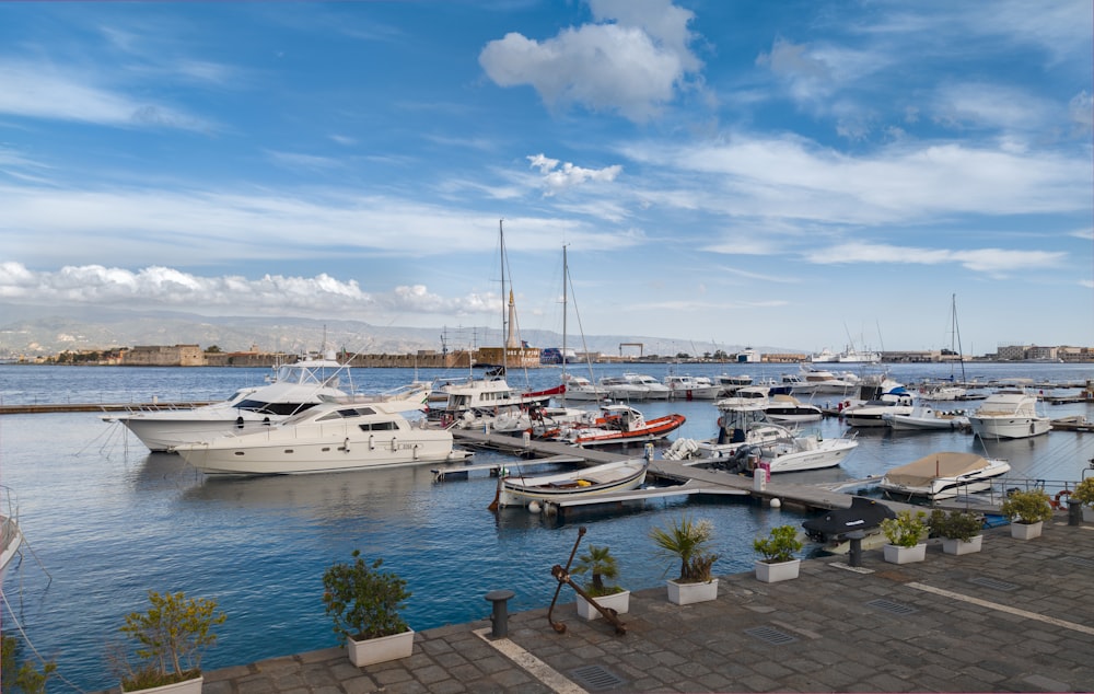 white and blue boats on dock during daytime