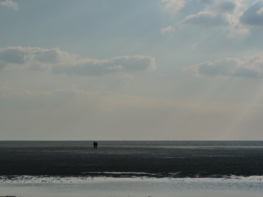 silhouette of person standing on beach during daytime
