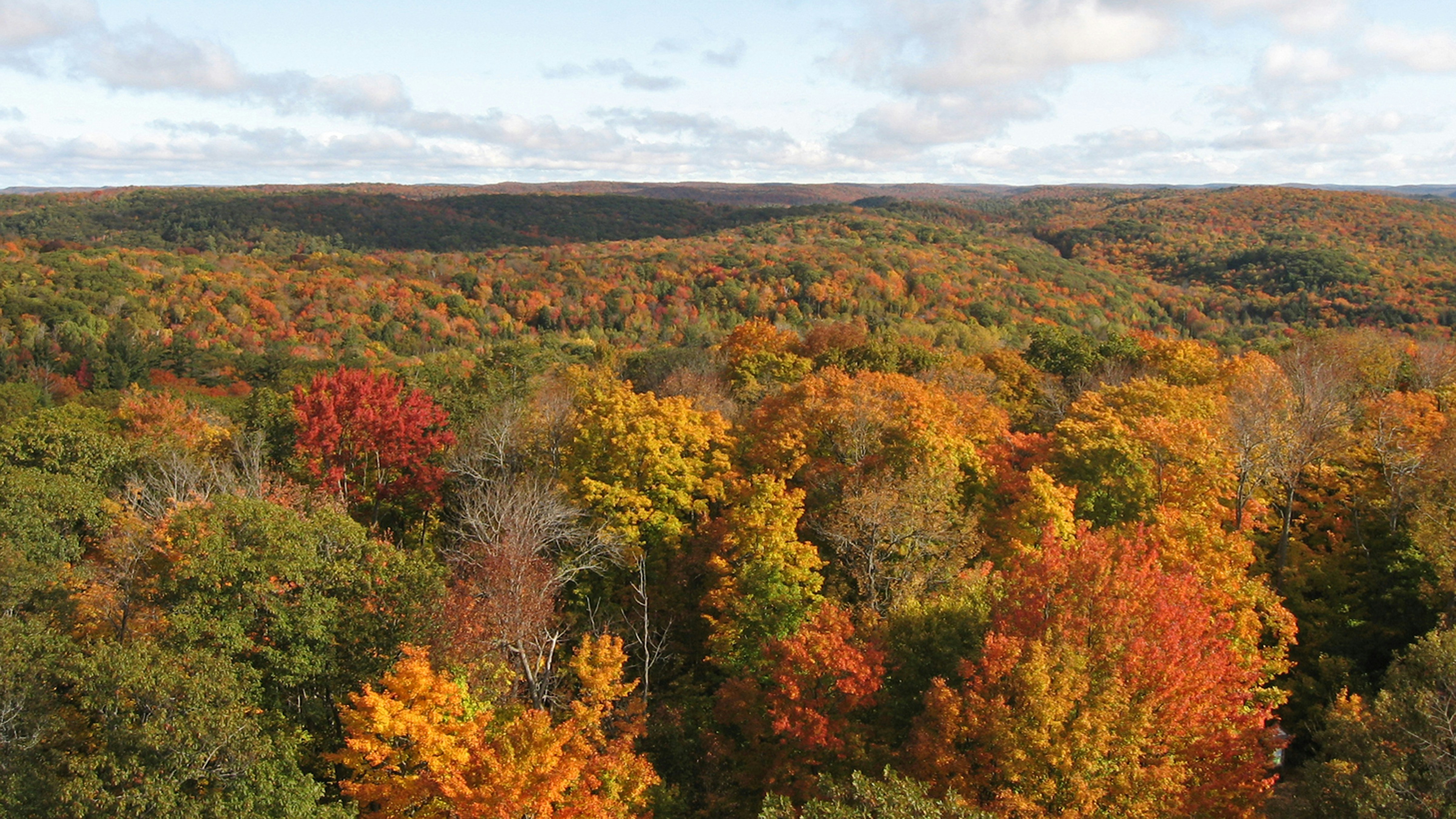 Photo by perspektive