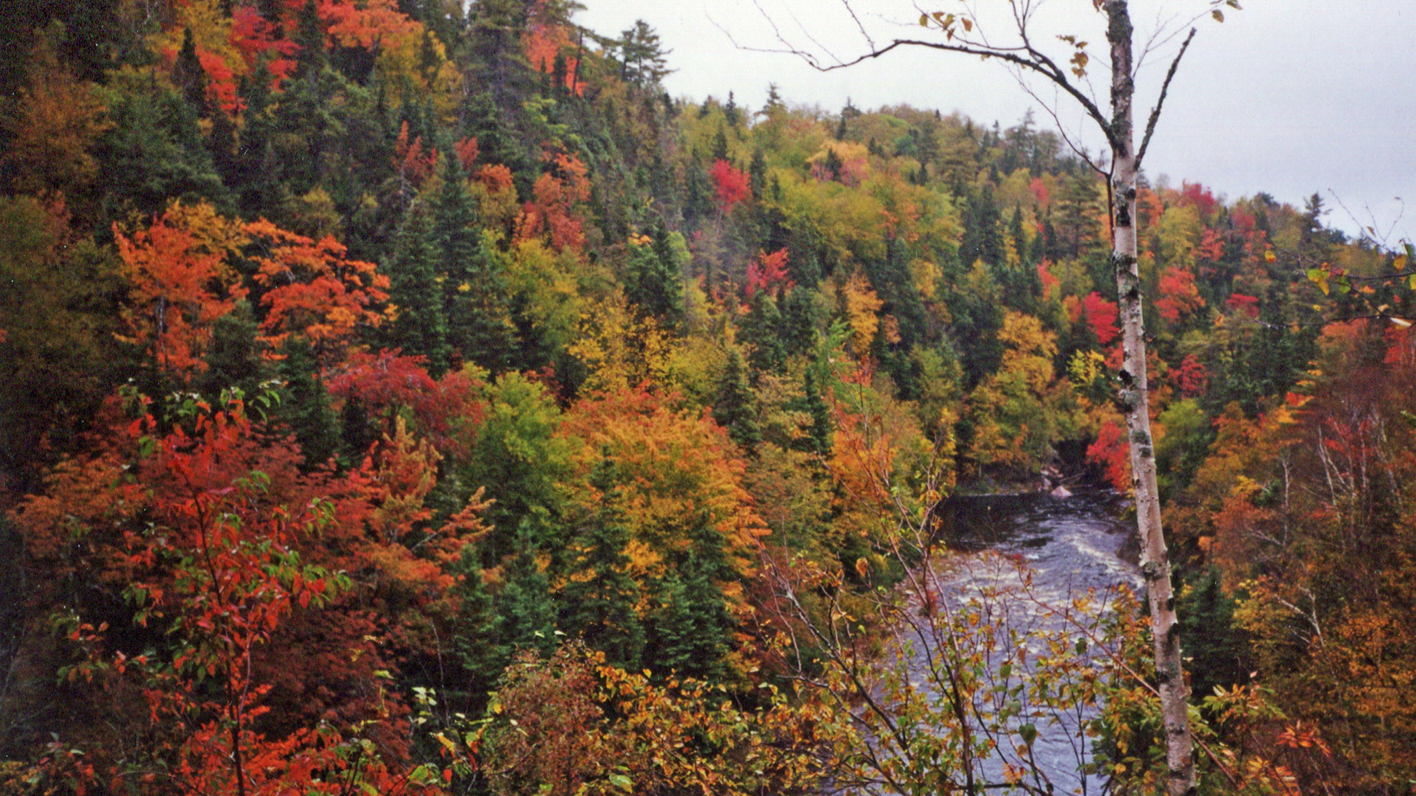 Photo by perspektive