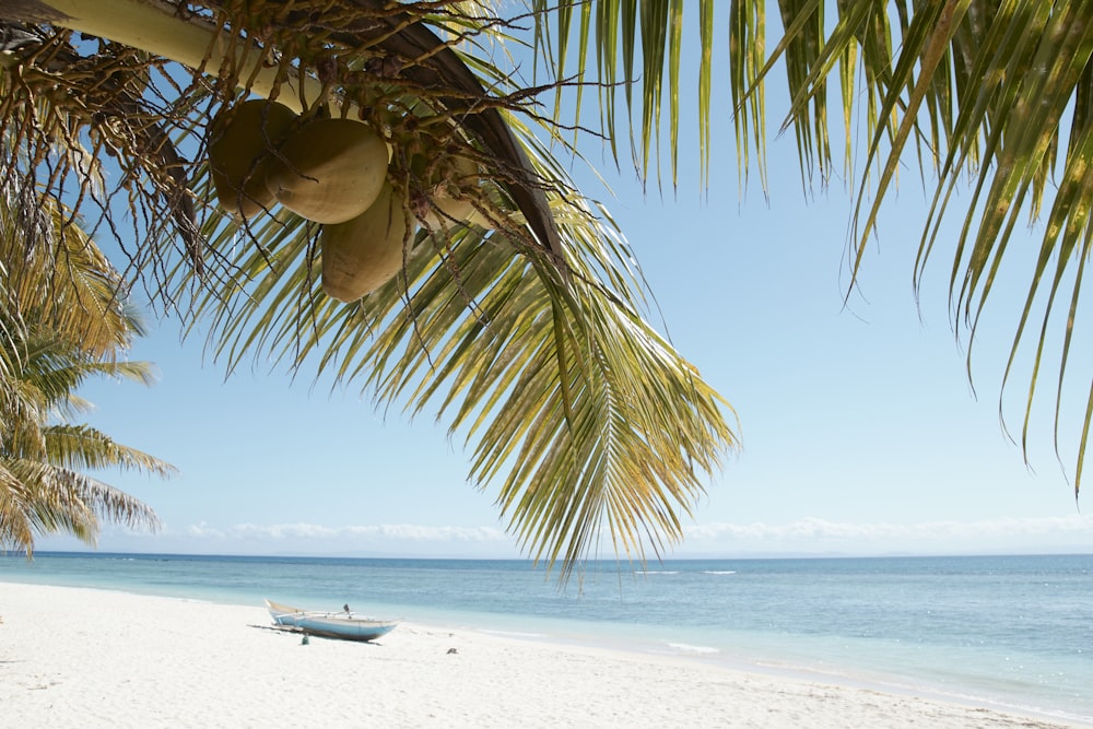 weißes und schwarzes Boot tagsüber am Strand