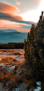 A landscape photograph featuring a beautiful sunset.