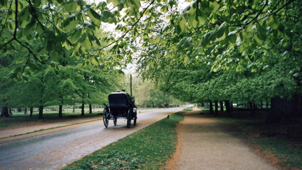 black carriage on road near green trees during daytime