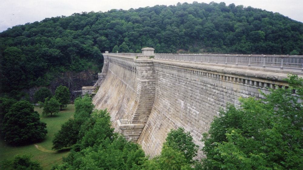 gray concrete dam surrounded by green trees during daytime