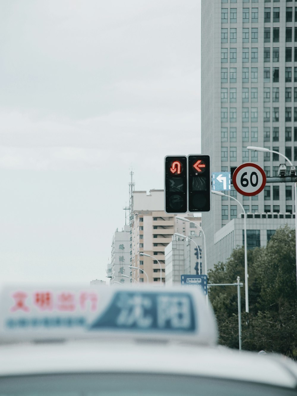 weiße und schwarze Ampel