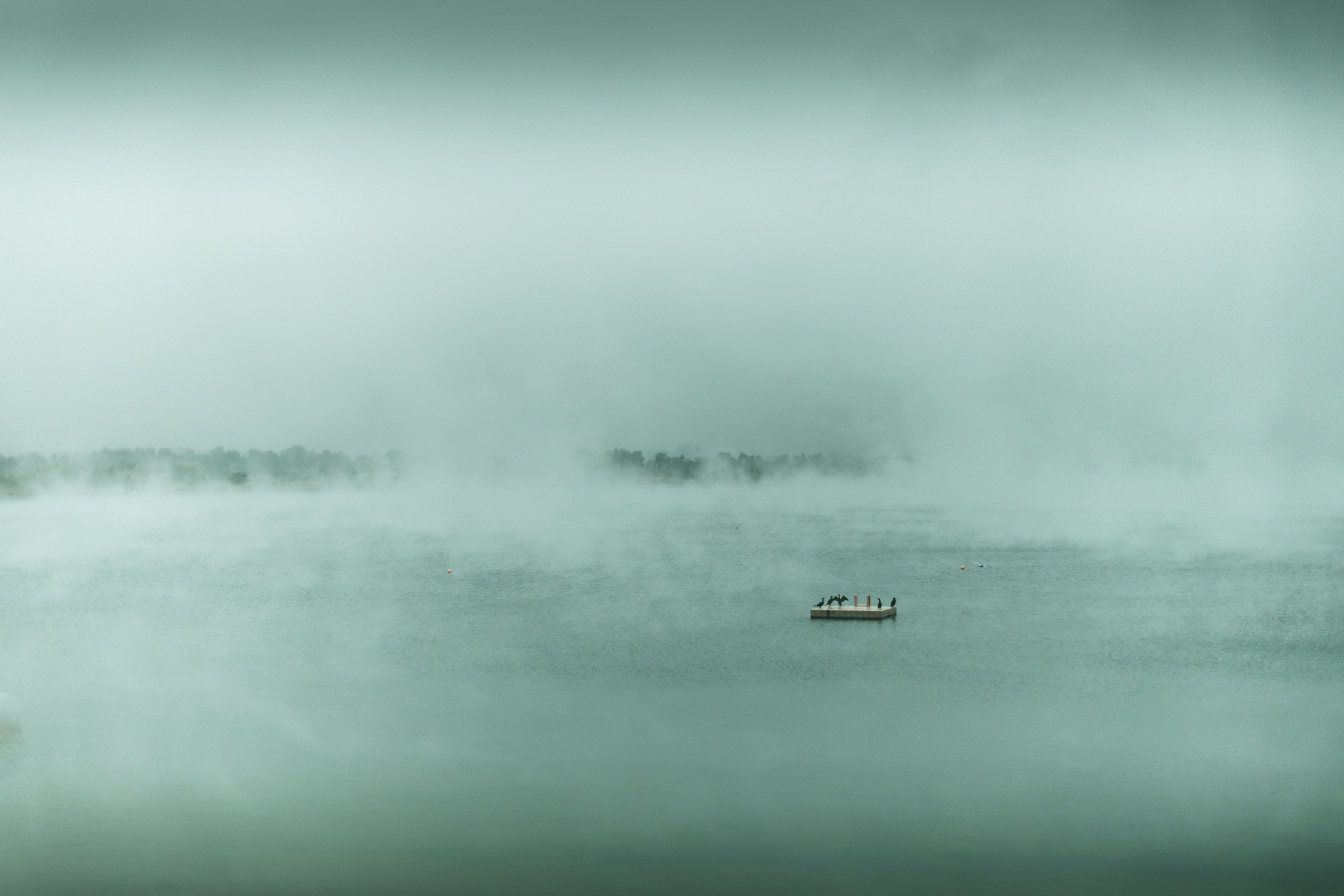 Photo by photosoflogan