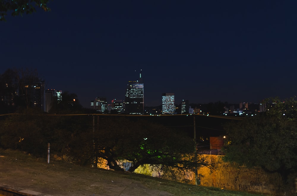 city skyline during night time