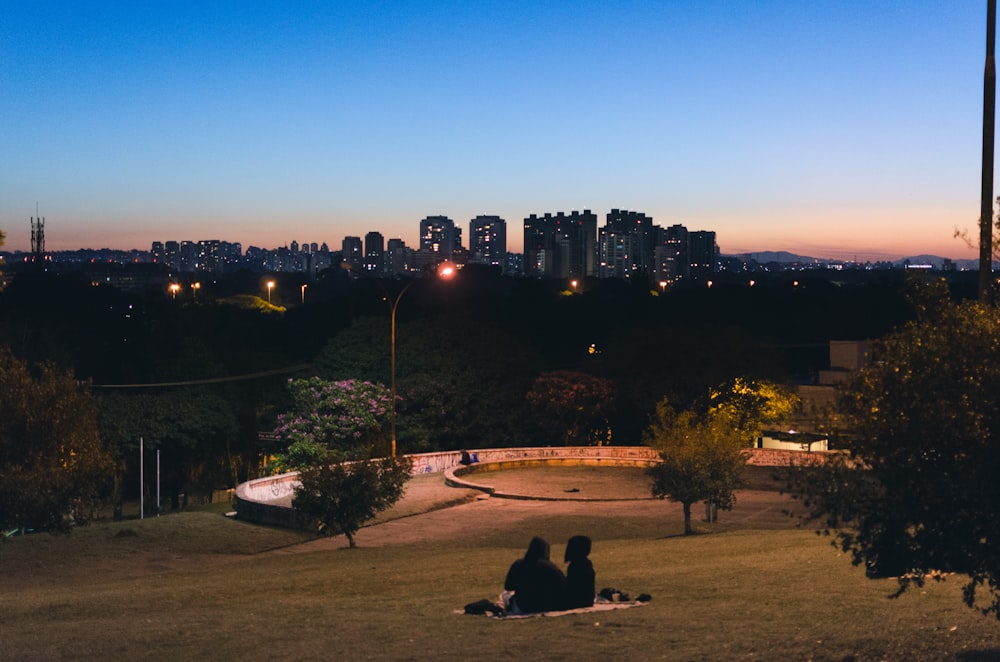 people sitting on brown grass field near city buildings during night time