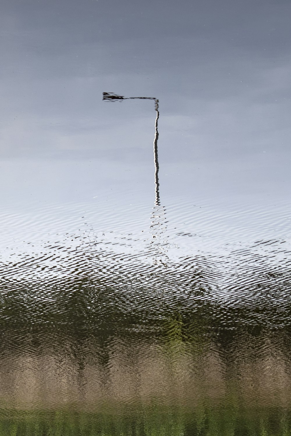 water droplets on spider web during daytime