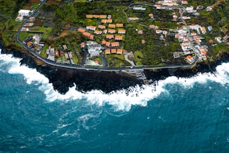 aerial view of houses near body of water during daytime