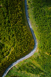 vehículo circulando en carretera serpenteando con paisaje muy frondoso