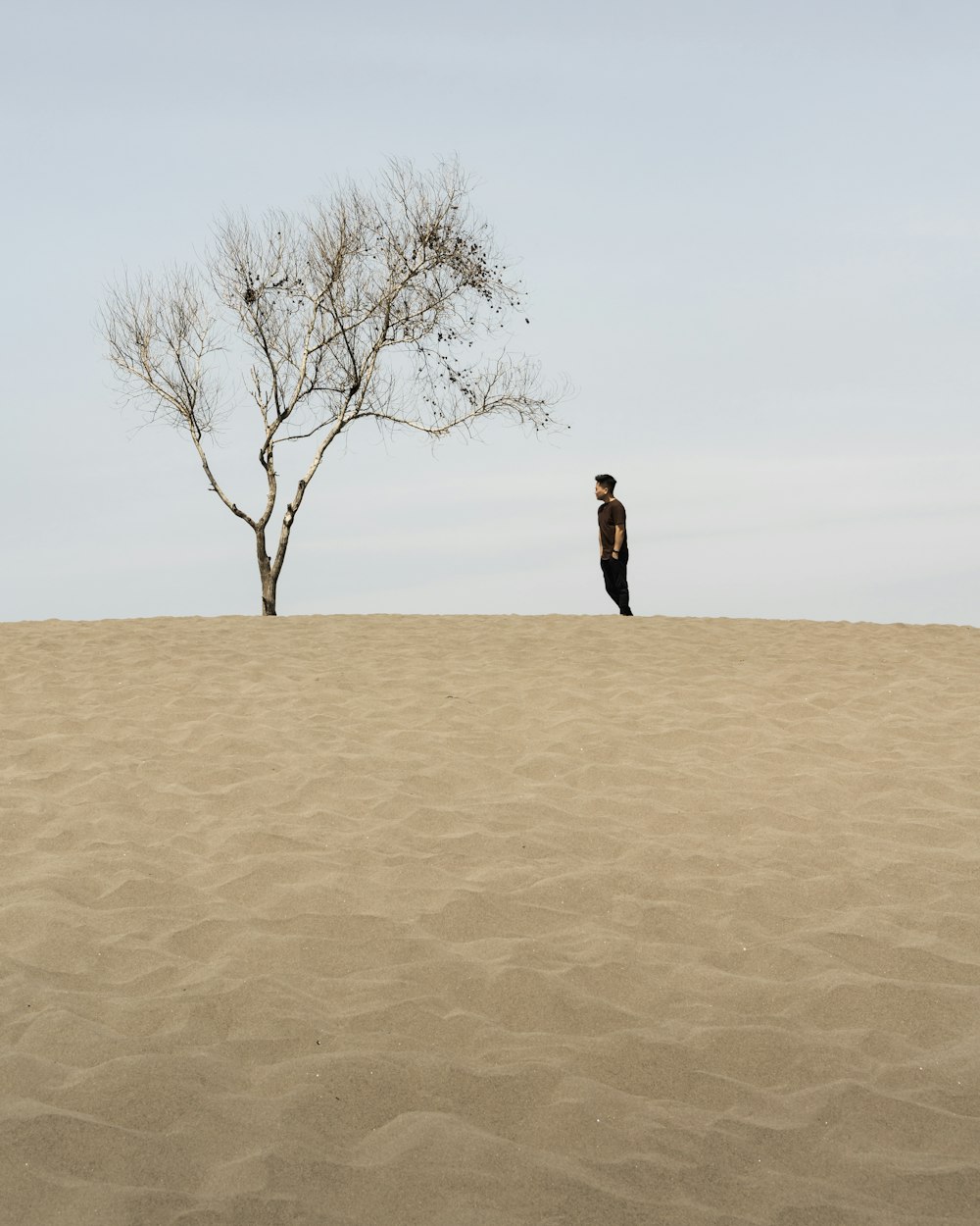 man in black jacket standing on brown sand near bare tree during daytime