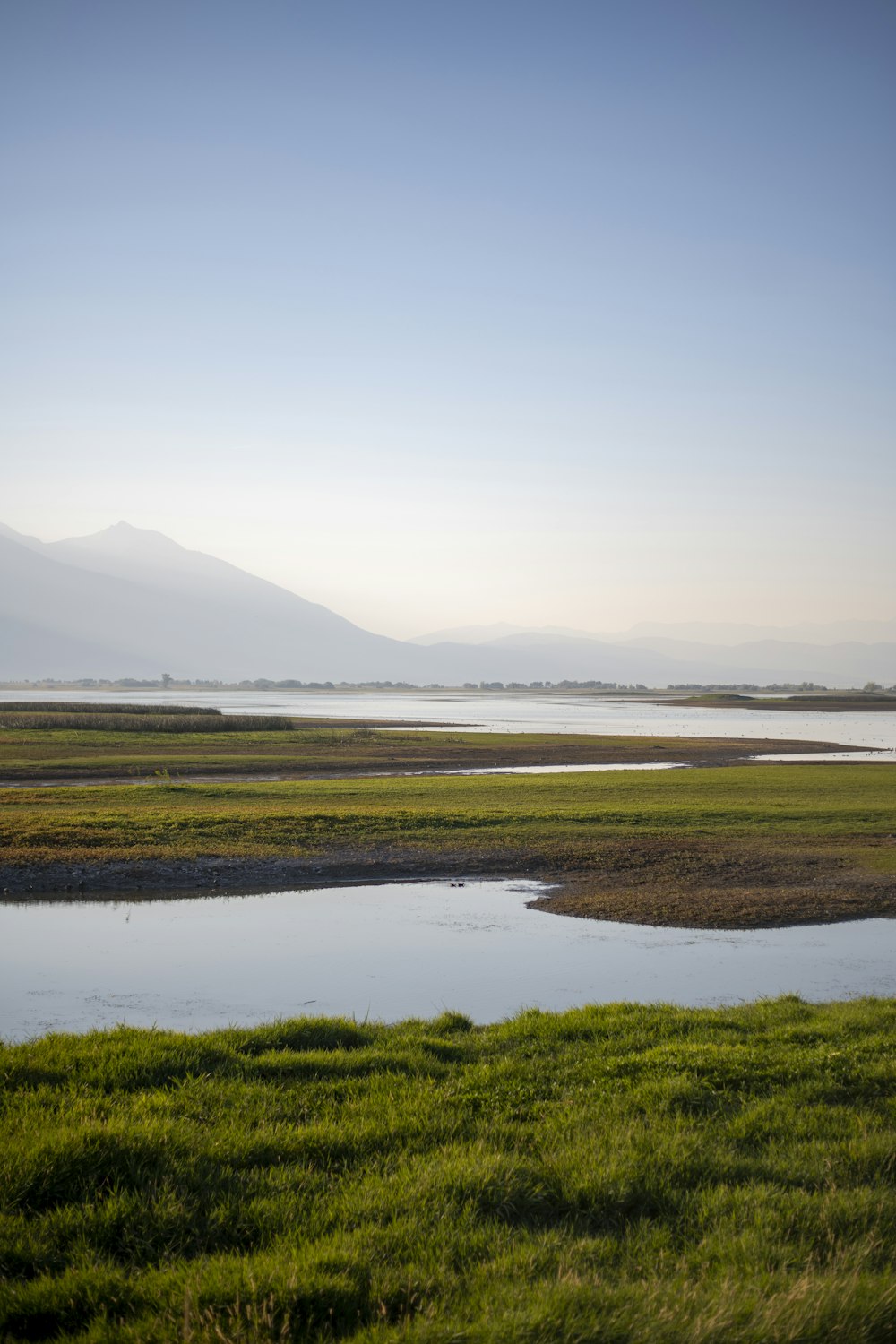 green grass field near body of water during daytime