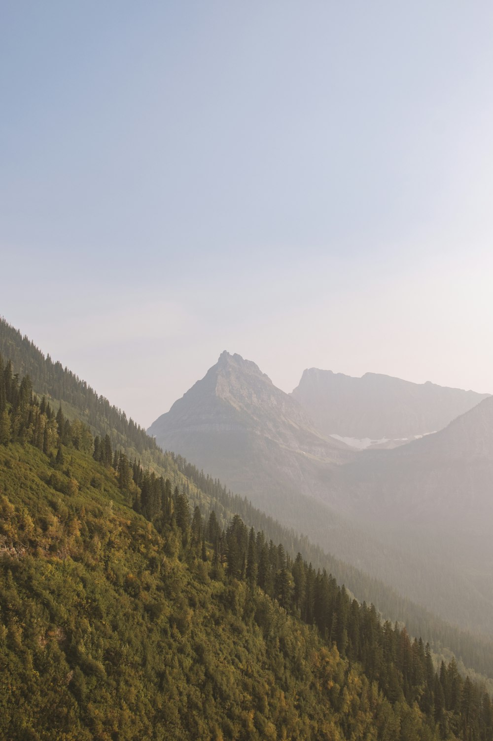 green trees on mountain during daytime