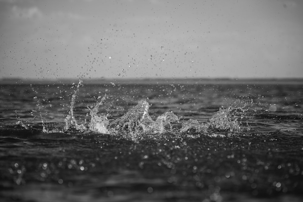 water splash on the water