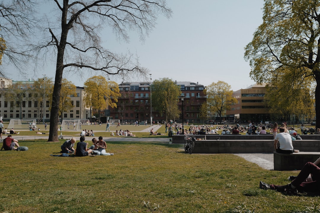 people sitting on bench near trees and building during daytime