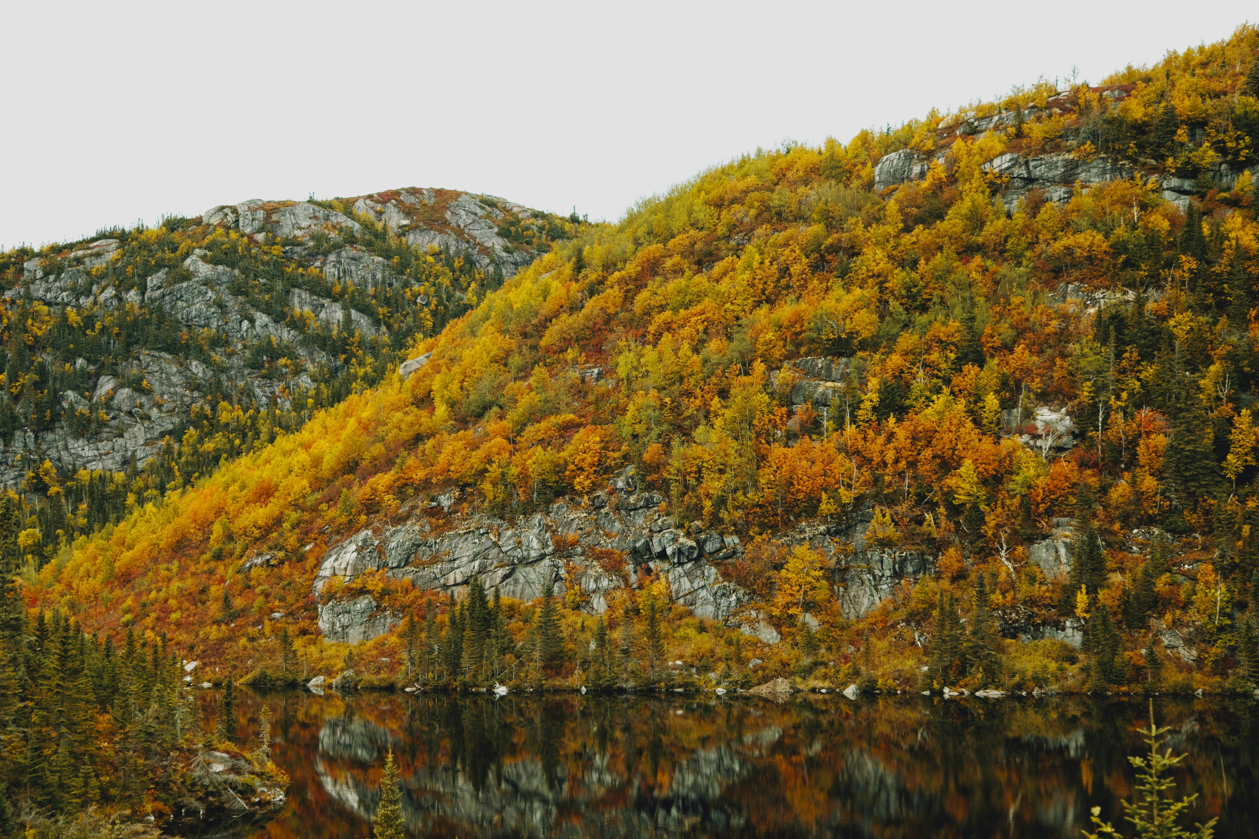 Photo by olivierbeaulieu