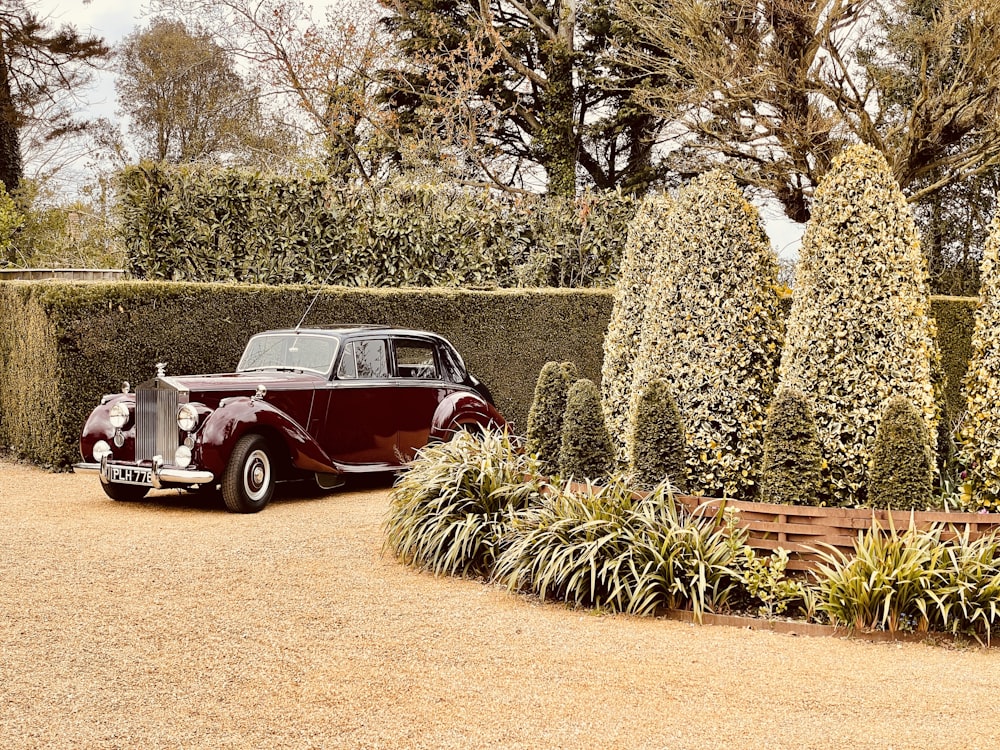 red and white vintage car parked beside green cactus plants during daytime