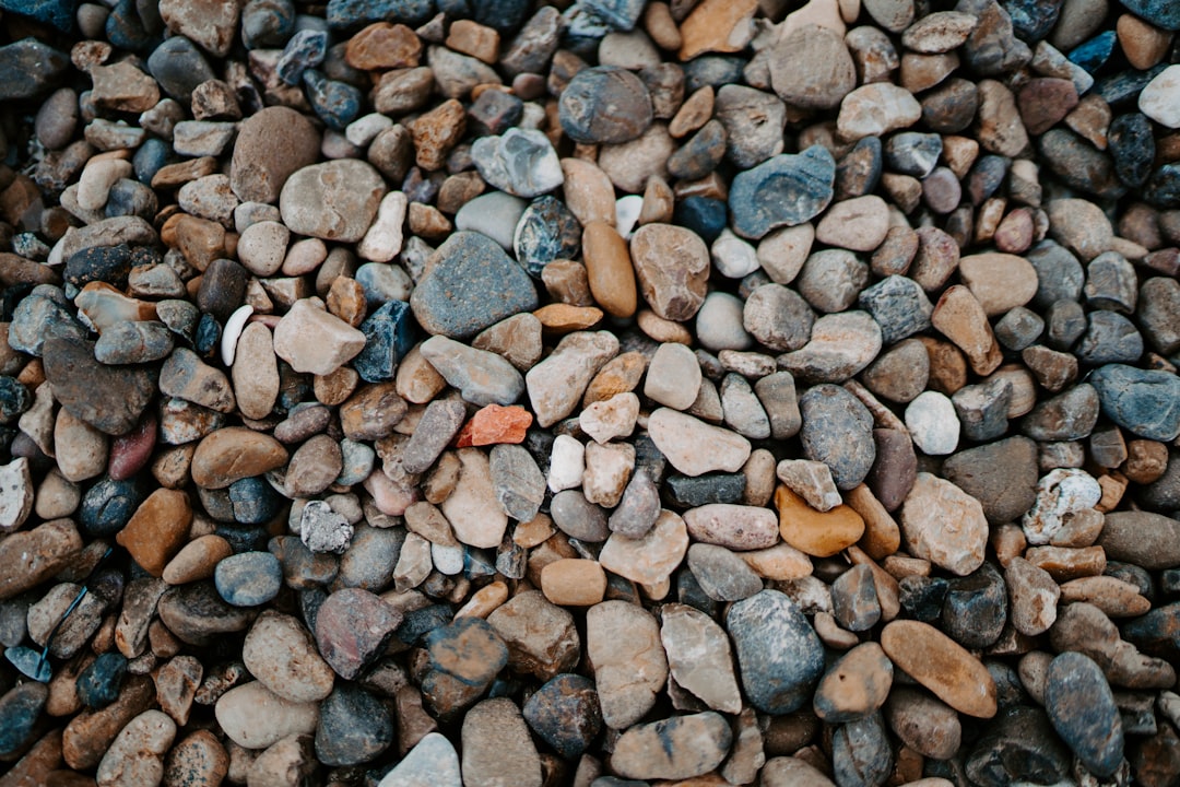 brown and gray stones on the ground