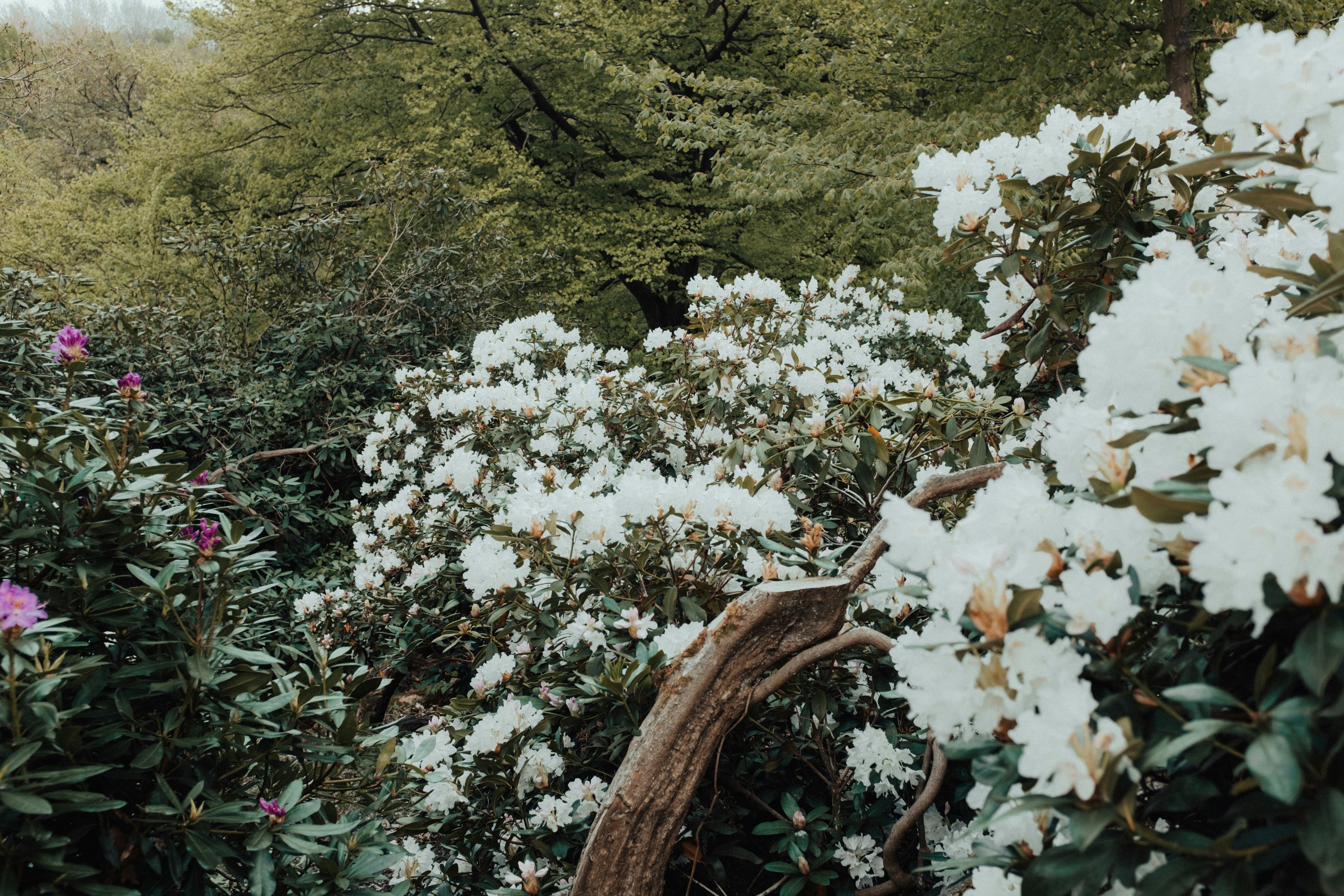 Photo by tassomitsarakis