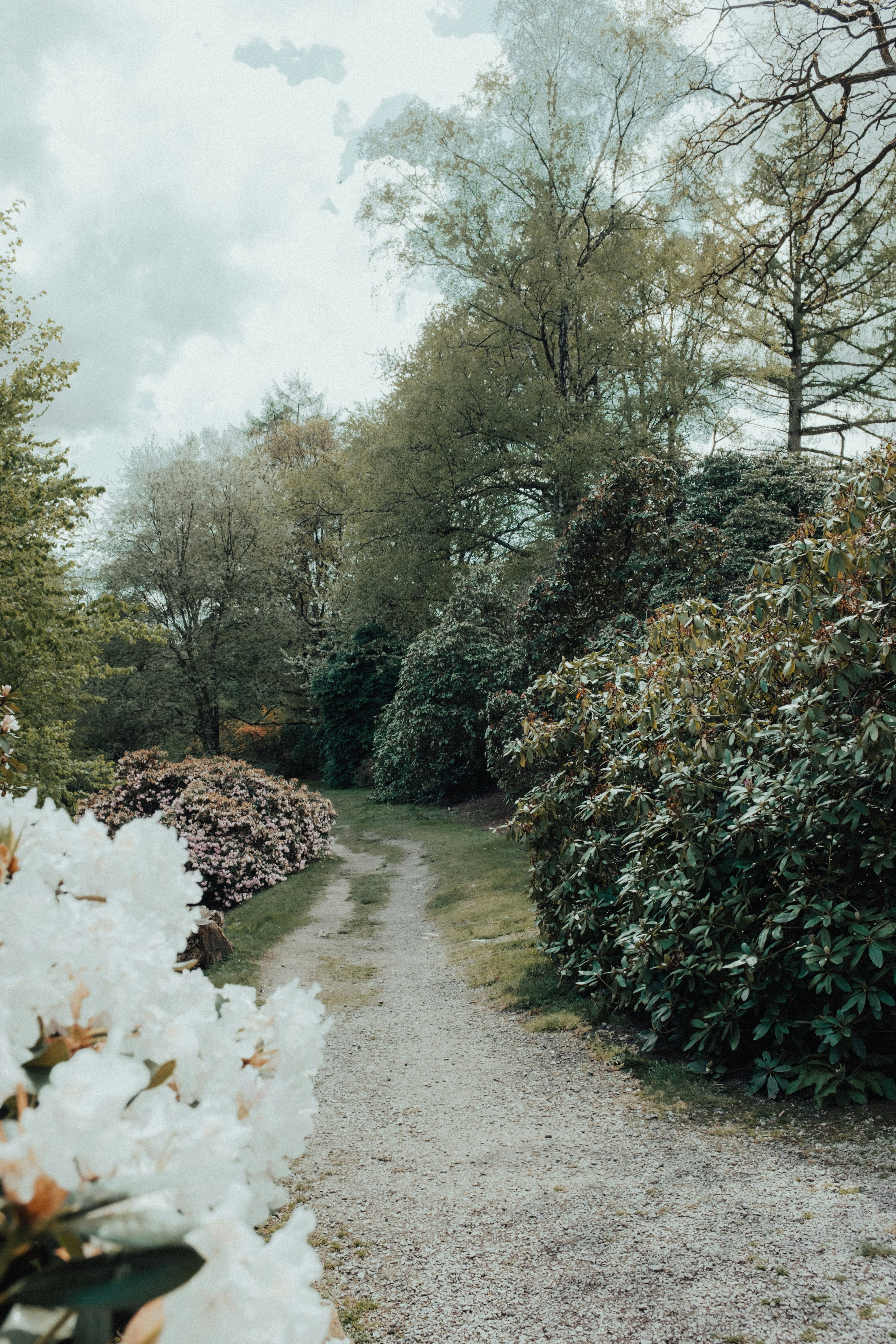 Photo by tassomitsarakis