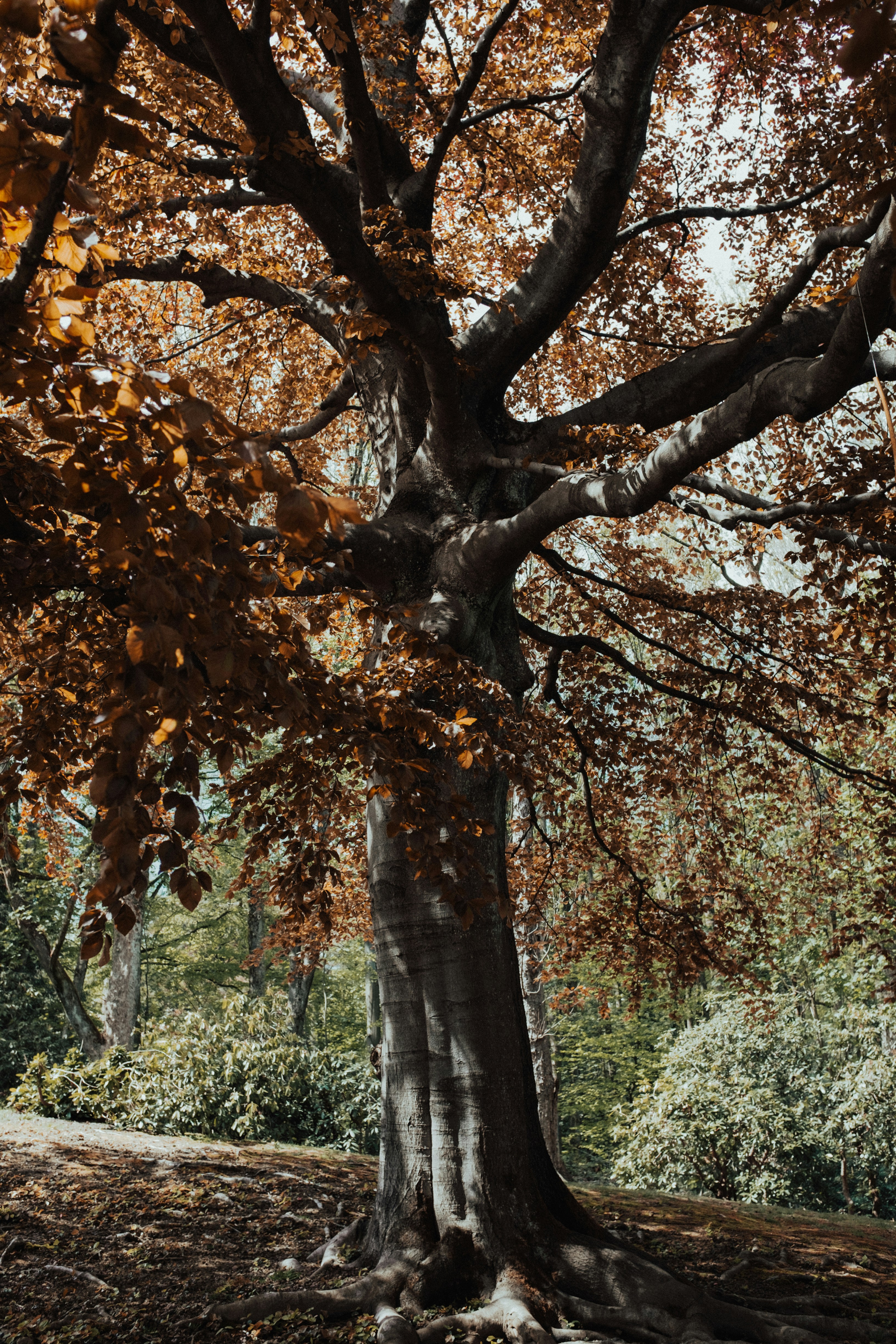 Photo by tassomitsarakis