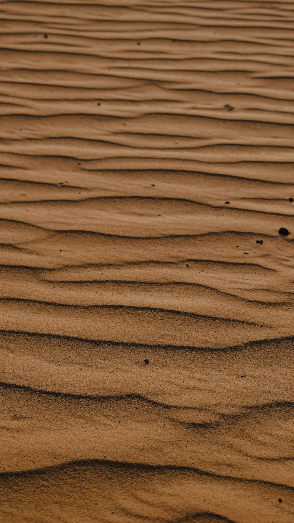 brown sand with footprints during daytime