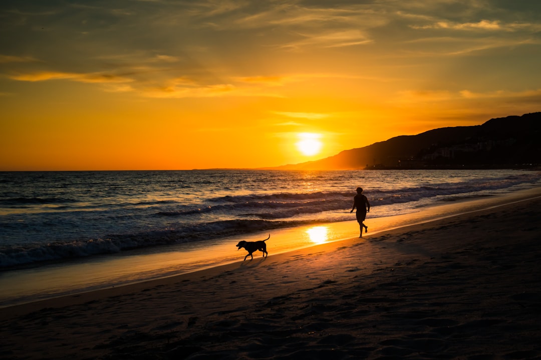 silhouette of 2 people walking on beach during sunset