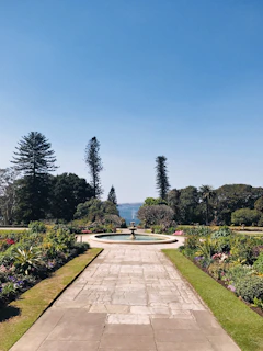 A sparkling clean garden fountain surrounded by well-maintained greenery.