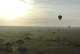 A serene morning scene with a hot air balloon drifting over the Serengeti plains.