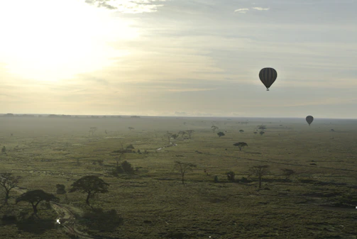 A serene morning scene with a hot air balloon drifting over the Serengeti plains.