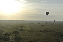 A scenic view of a vast savanna landscape under a soft, diffused morning light. The foreground features sparse trees and grassy plains extending into the horizon. Two hot air balloons float serenely in the sky, adding a sense of adventure and tranquility. The sky is partly cloudy, enhancing the warm and serene atmosphere.