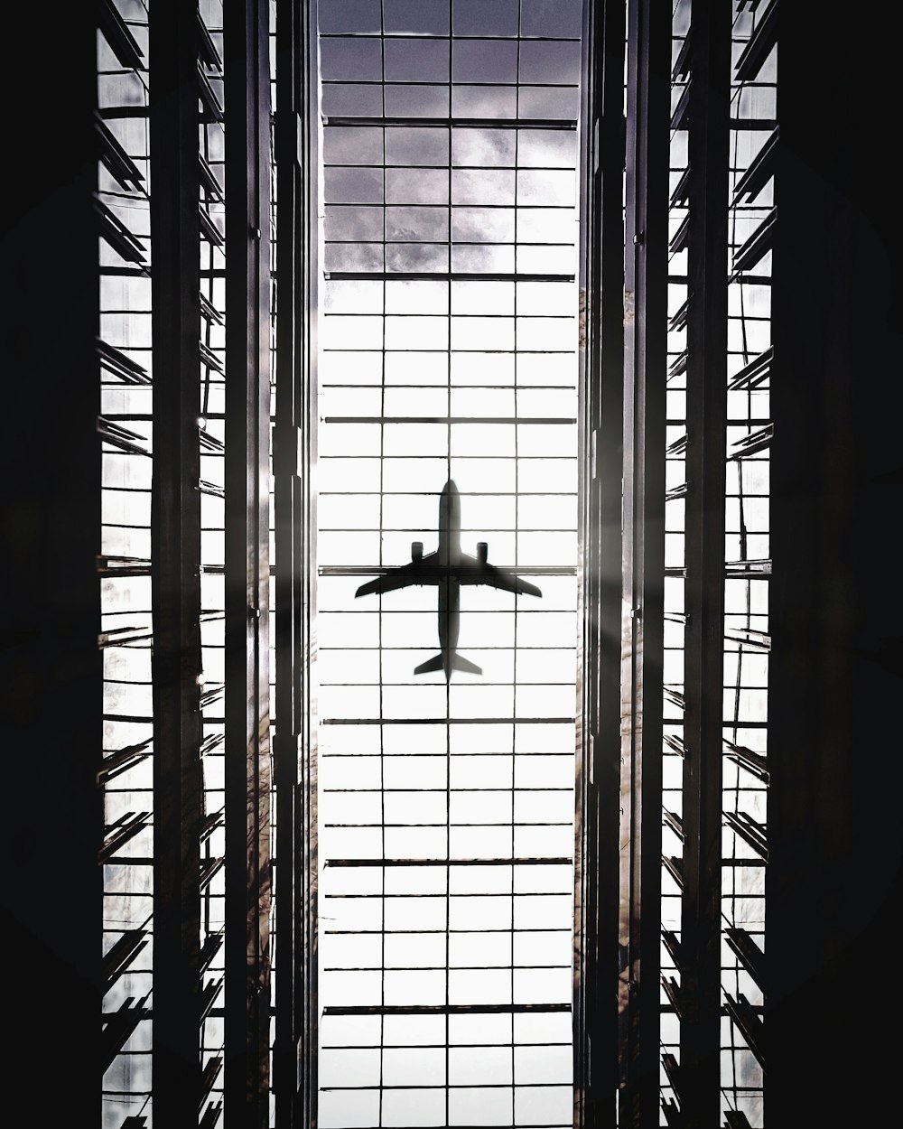 white bird flying over the window