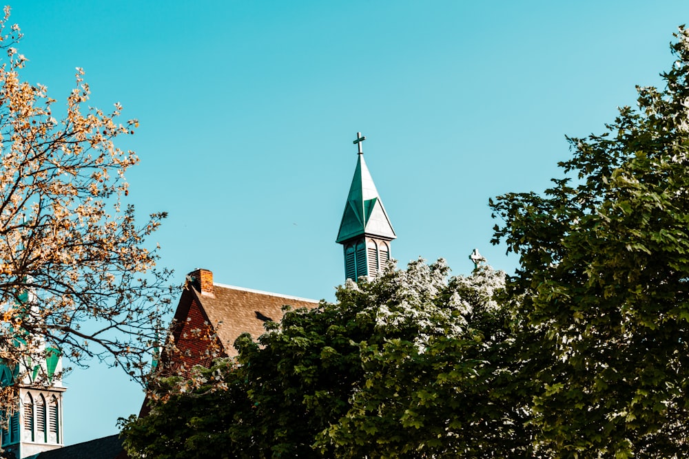 brown and white concrete church